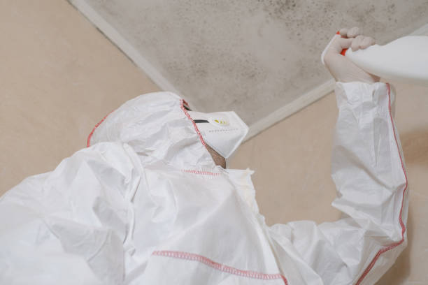 Best Mold Remediation for Specific Building Types in Healdsburg, CA